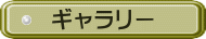 ギャラリー